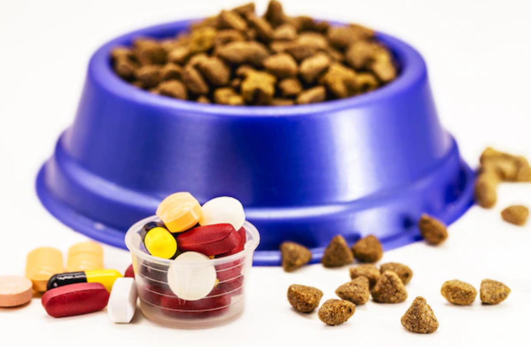 Veterinary pills or medication pet medication pet supplements or vitamins with pet food in the background