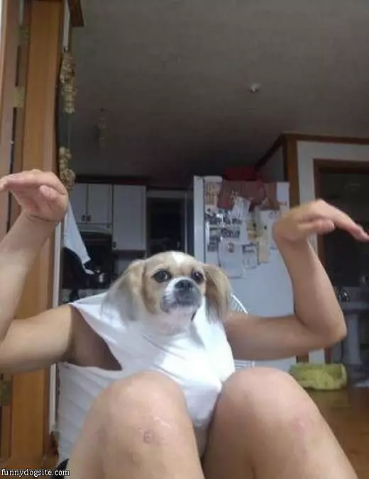 Another Dog Man
