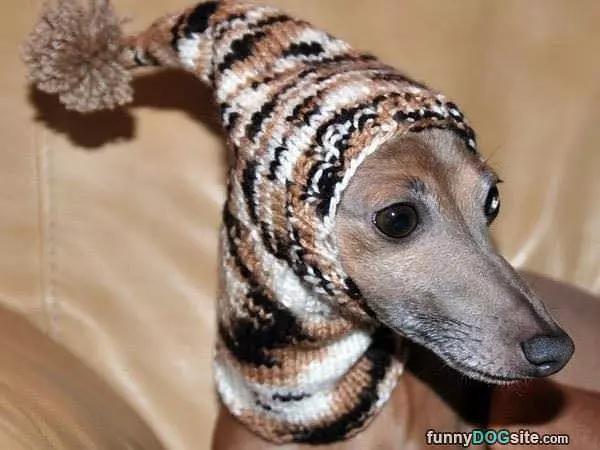Got My Winter Hat
