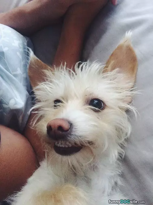 Biggg Smile