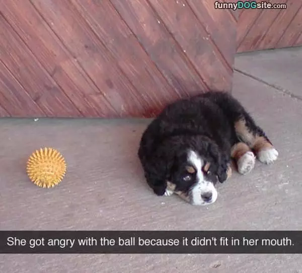 Hate That Ball