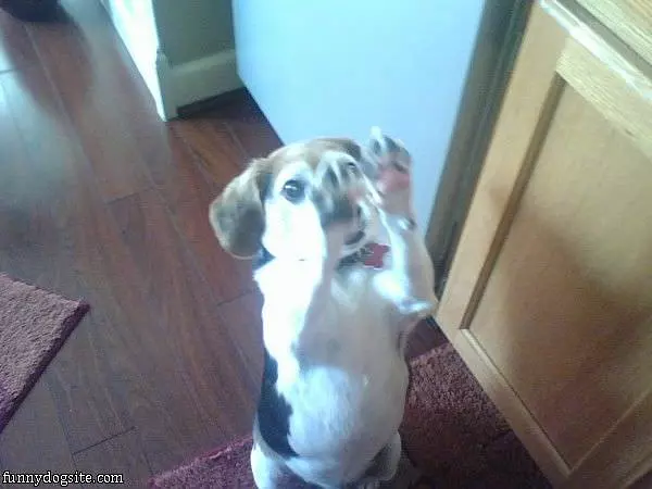 I Am All Clean Now