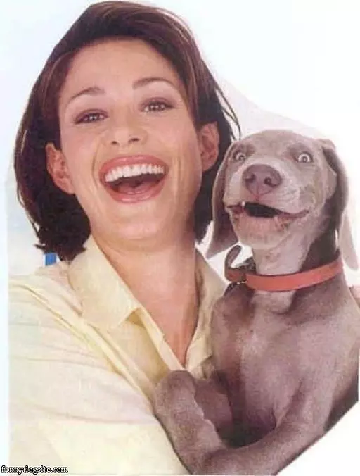 Happy Dog Is Happy