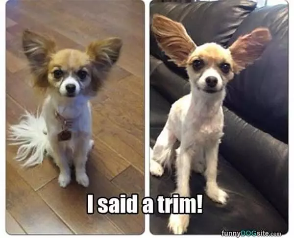 I Said A Trim