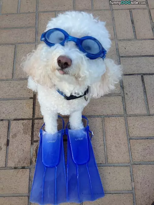 Ready For Swimming