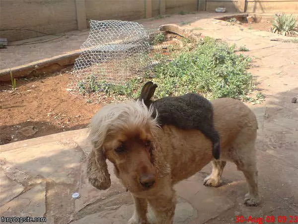 Bonnie Giving Bunny A Ride
