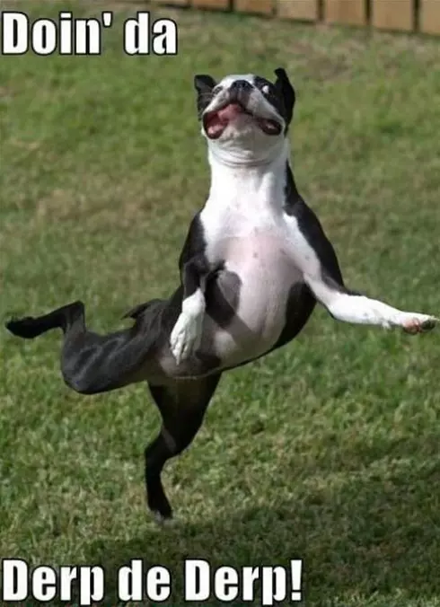 Derp Da Derp