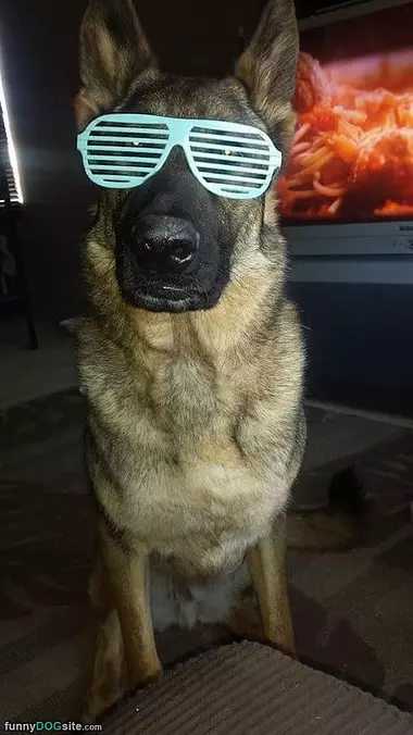 Coolest Glasses