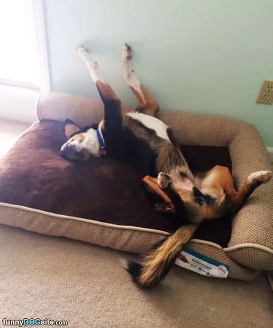 Hanging On My Back