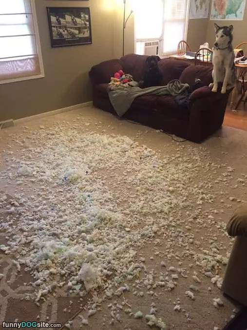 I Made A Little Mess