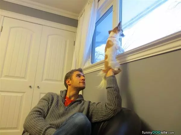 Keeping A Lookout