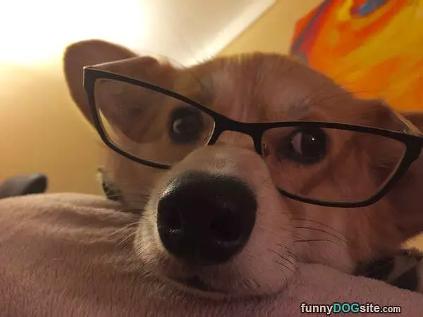 Got My Glasses To See