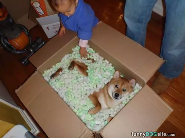 No Shipping