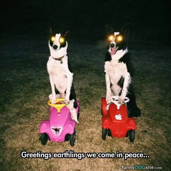 Greetings