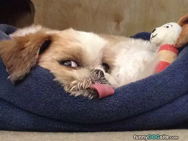 I Am So Comfortable