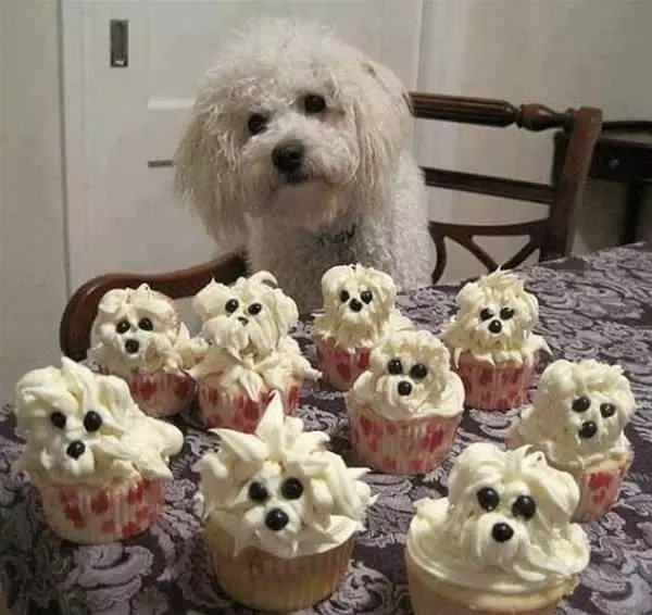 So Can I Eat Them Now