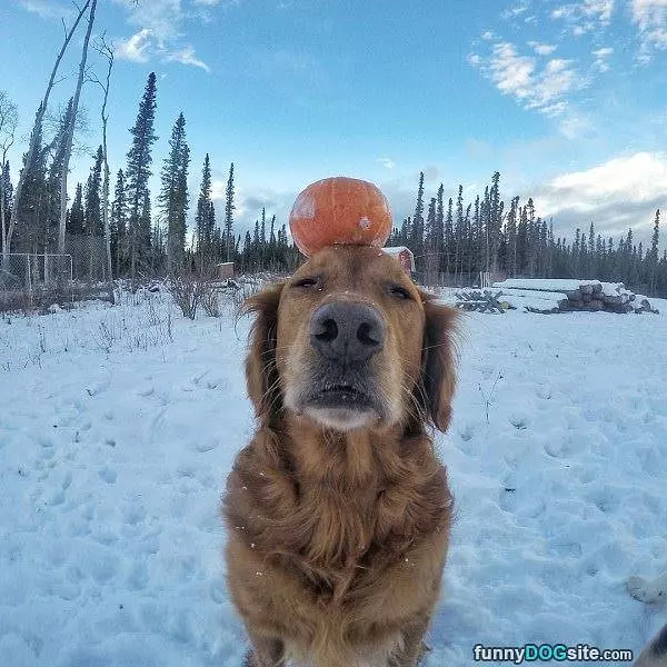 Head Balance