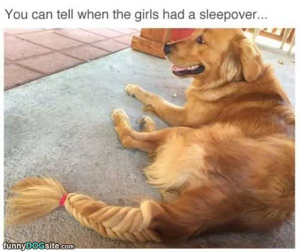 The Girls Had A Sleepover