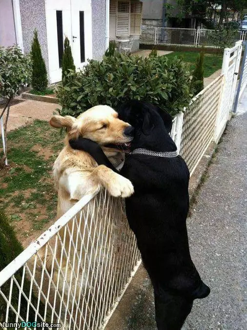 Hug It Out