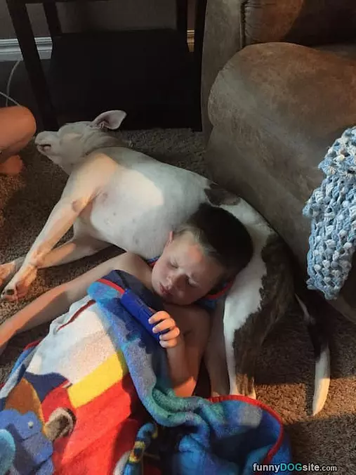 I Is A Pillow