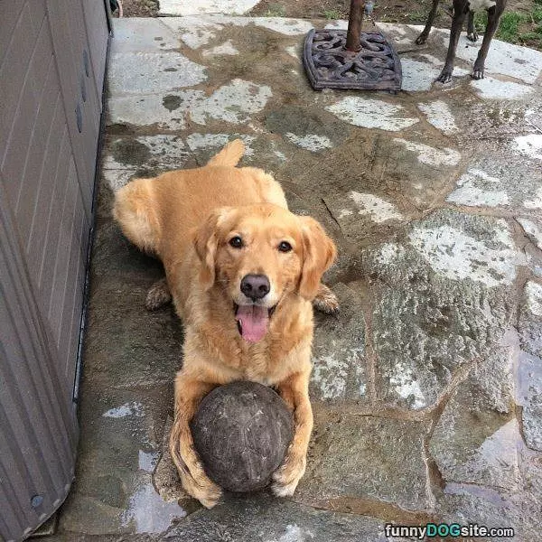 I Got The Ball