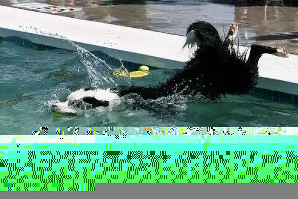 Ball Diving
