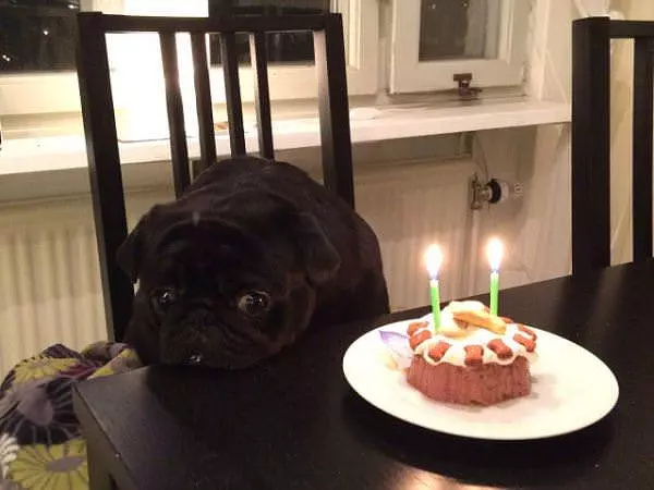 It Are By Birthday