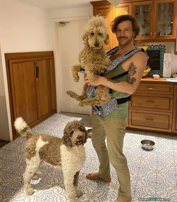 Dog Carrier