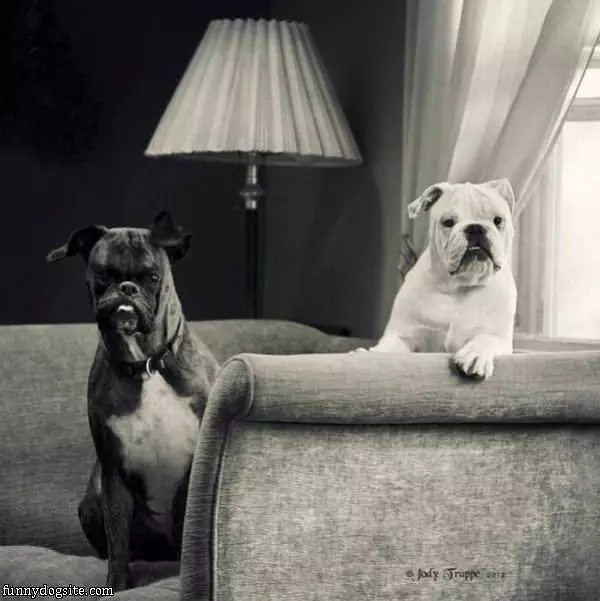 Relaxing On The Couch