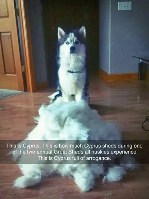 This Is Cyprus