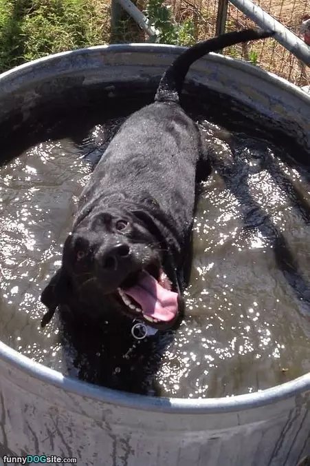 This Is A Dirty Bath