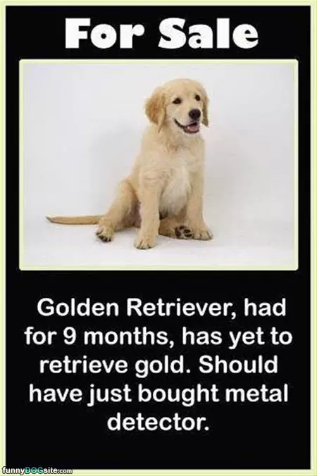 Yet To Retrieve Gold