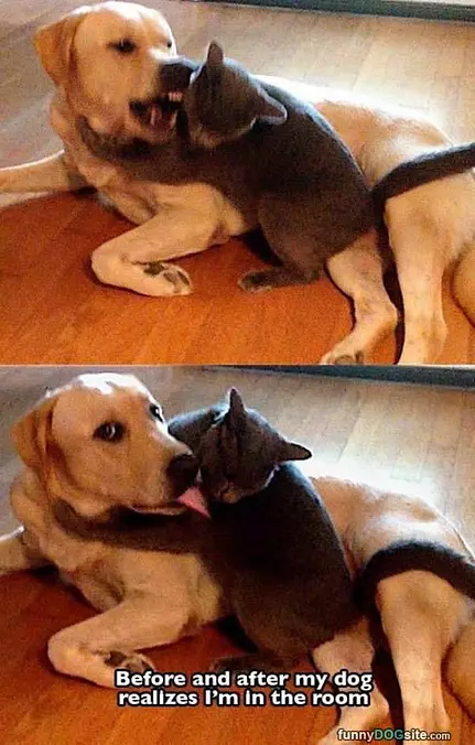 Oh Your In The Room