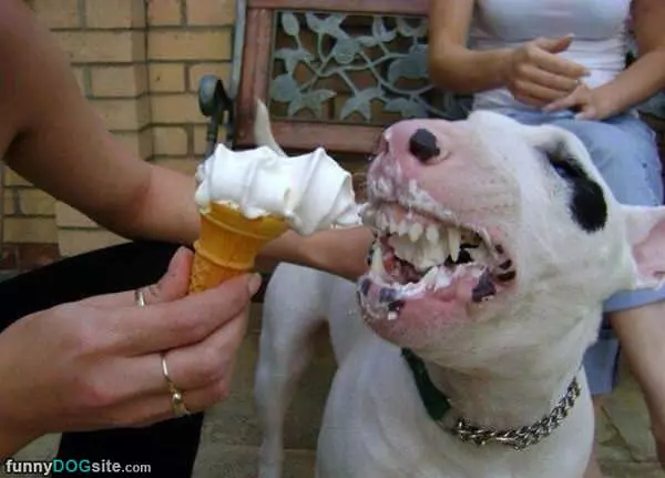 I Love Ice Cream