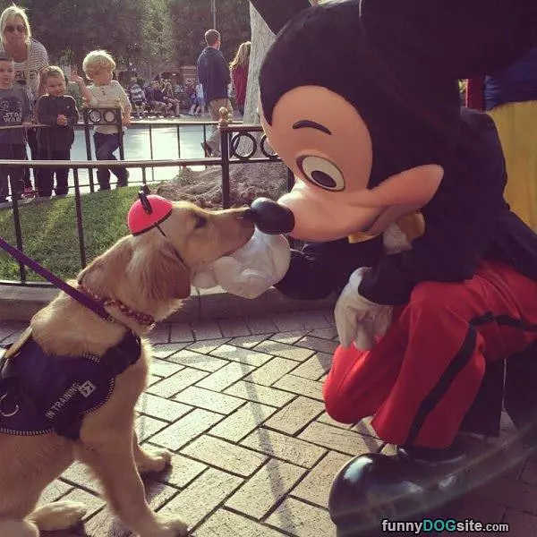 It Is So Good To Meet You