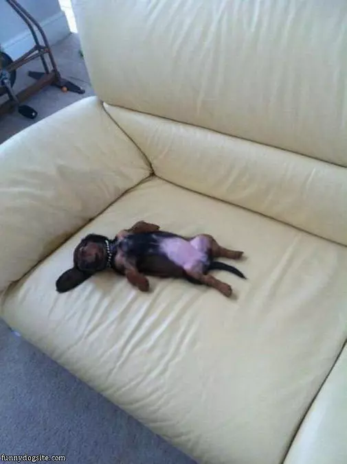 Sleep Where I Want