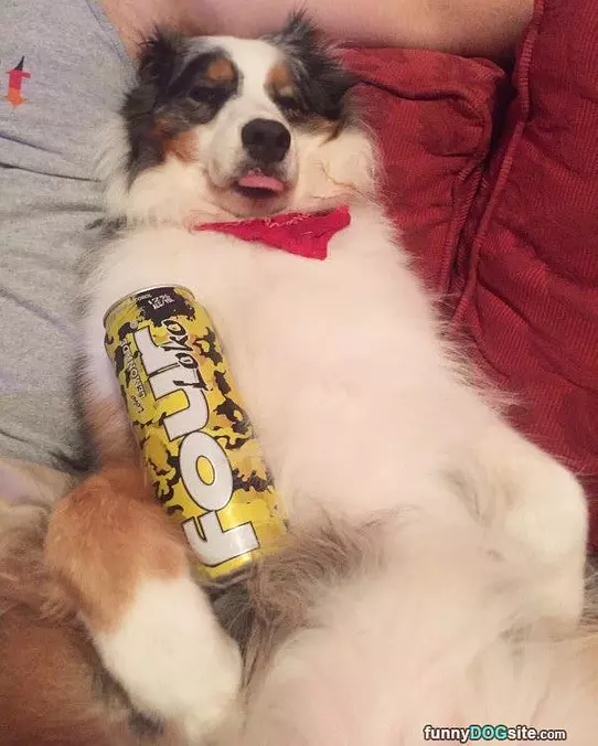 Laying Around