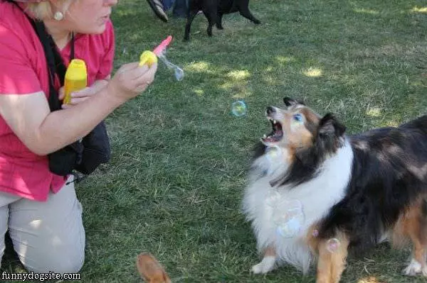 I Love Bubbles
