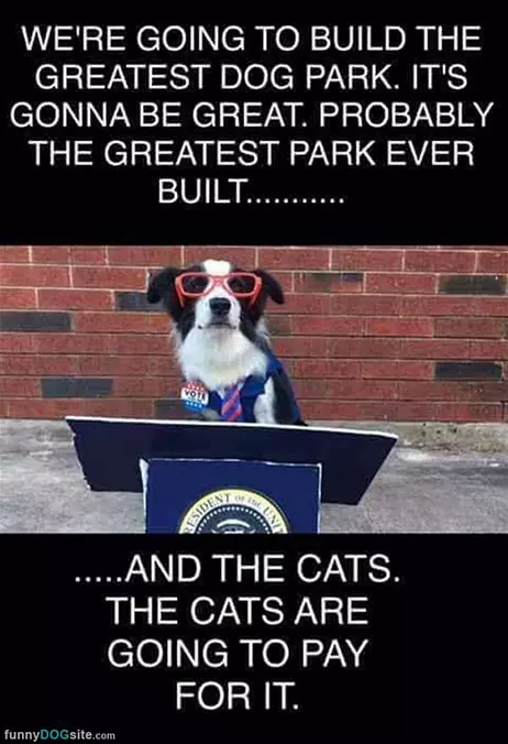 Building A Dog Park