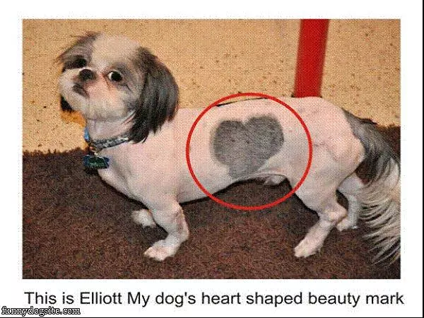 Elliots Heart