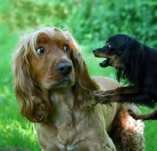 Hewy Man Get Away