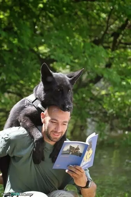Hey What You Readin