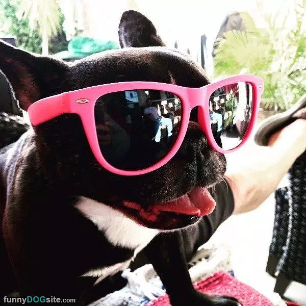 Awesome Pink Glasses