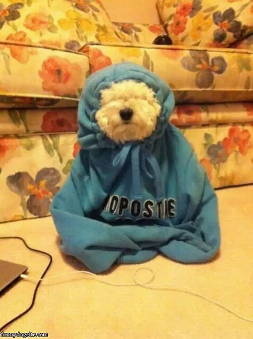 Bundled Up