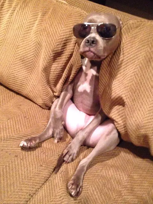 Yooo Wasssup