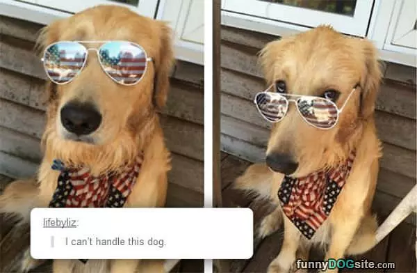 Cant Handle This Dog