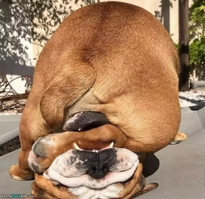 Nommmm Nom I Got It