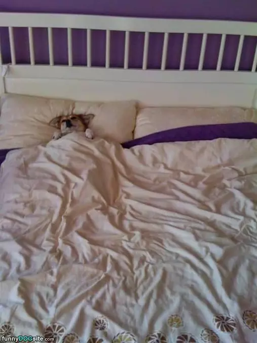 All Tucked In