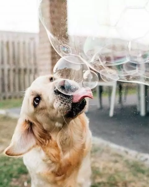 I Got Some Bubbles