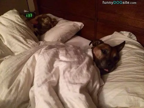 Lets Sleep In Today